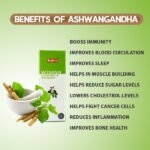 Nipco Ashwagandha Q (Mother Tincture) - Image 2