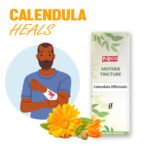 Nipco Calendula Officinalis Q (Mother Tincture) - Image 2