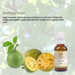 Nipco Aegle Marmelos Q (Mother Tincture) - Image 2