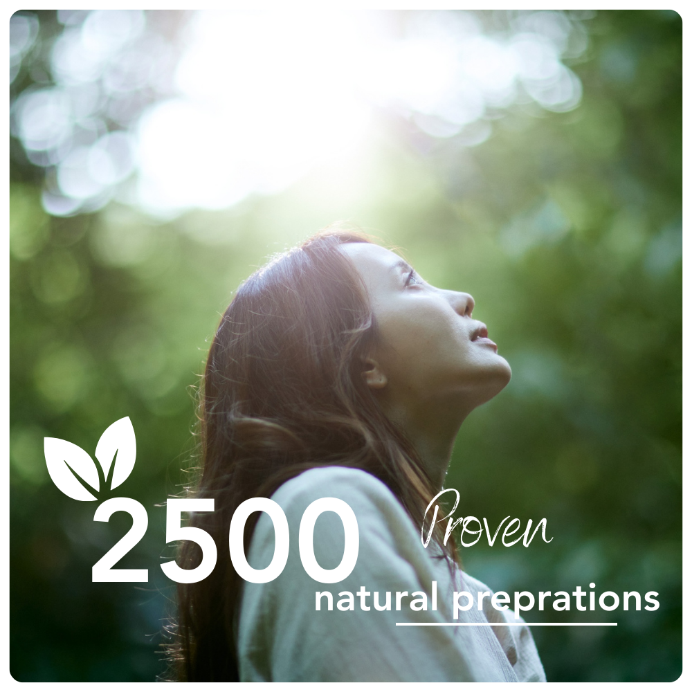 NIPCO-website-images-2